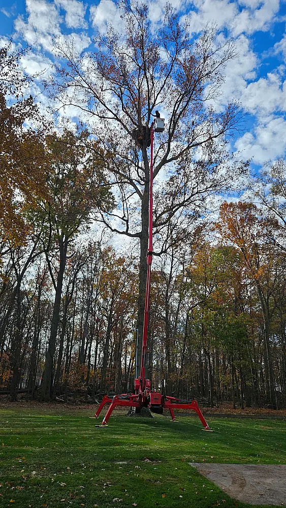 Eagle Camera Installation Rig Fully Extended