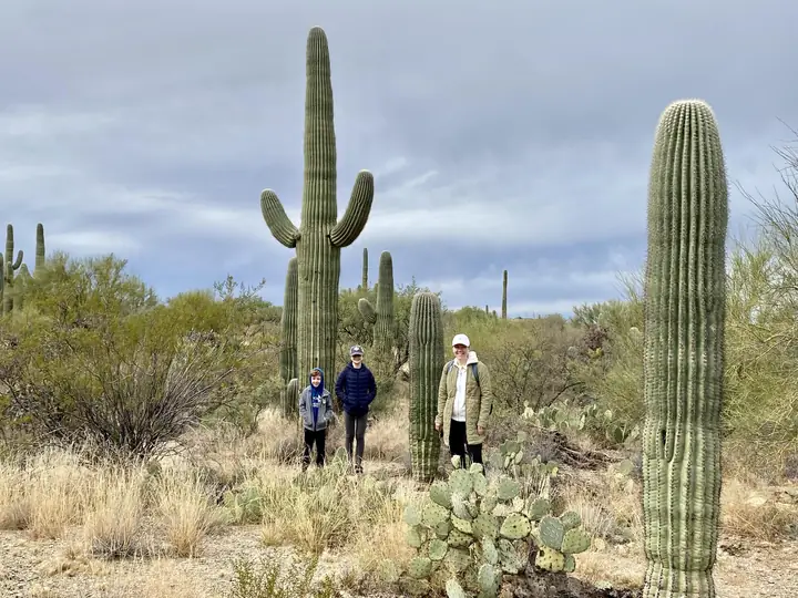 Mrs. Swislocki: Hiking in Saguaro National Park (AZ).
